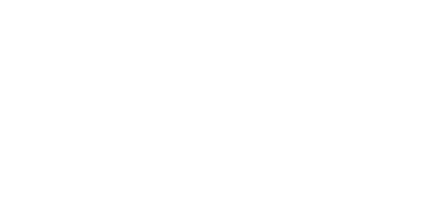 Dólar Master - Carlinhos Troll